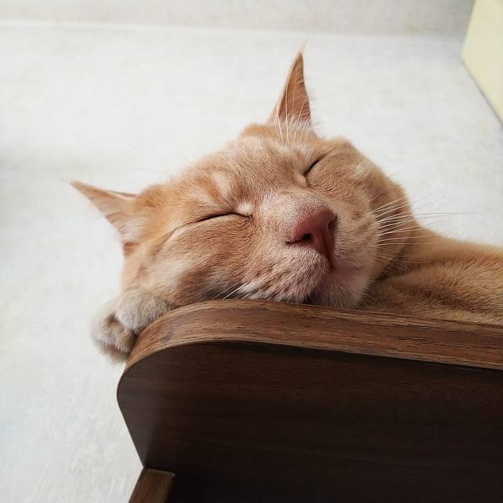 65293421 cb86 4176 9fe7 4a55a4a56b76 1589960988439