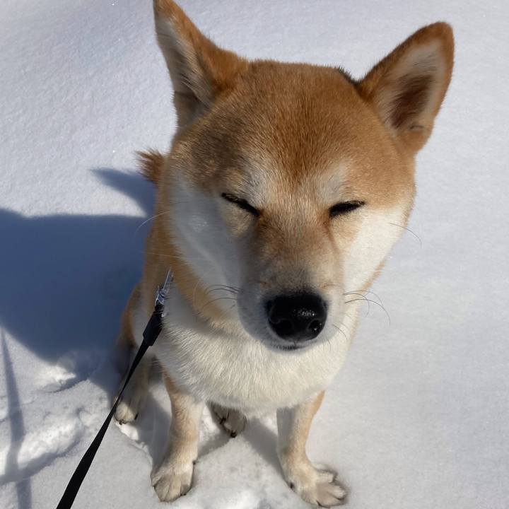 65294b3a d4e3 4c0b b316 6277123025a2 1644553142686