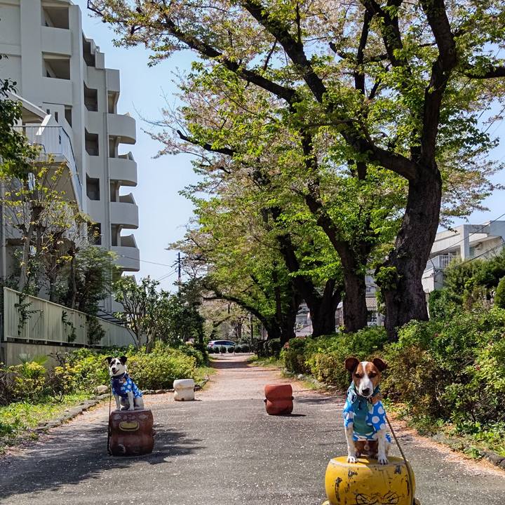 652961df 1540 4487 a258 8ae3aa1cf5fc 1713073459290