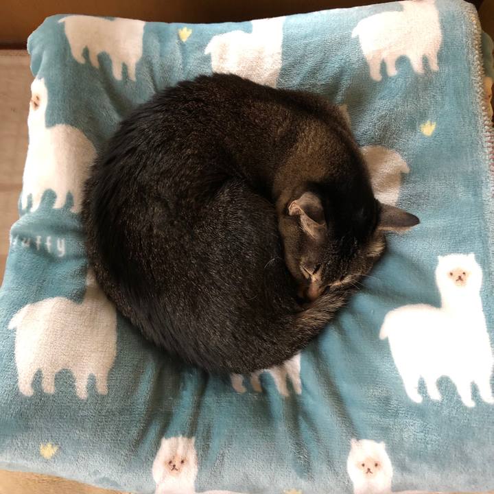 652969e7 6dc7 4a3f 9659 ef944dbc83ca 1649913265853