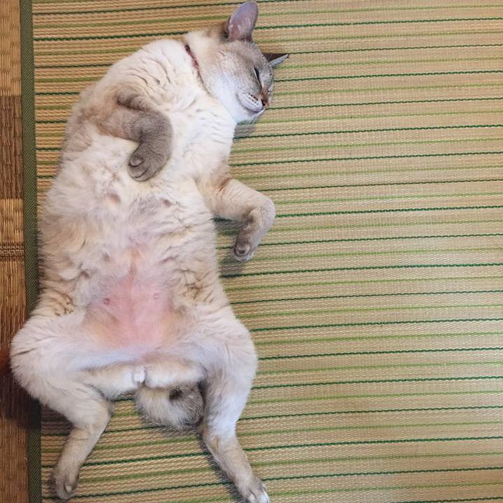 65297448 2ae7 4a99 84b8 8bd4c4ae00d3 1532040954091