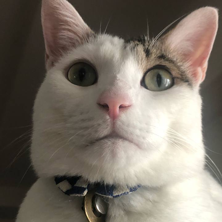 65298b95 e35f 49b4 8b1c 57547f51a2cc 1627603371223