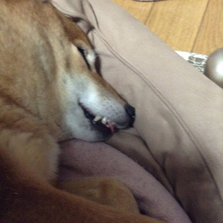 6529fdd1 ca25 41b1 9bd7 03ee3f8ddd66 1514988844948