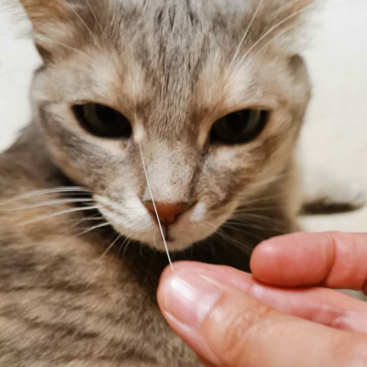 652a2b48 f7cd 47eb 9289 c3c4f71d0144 1682779092273