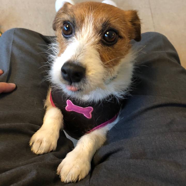 652a3bd0 affe 415d 806f 36a27553d211 1523696269727