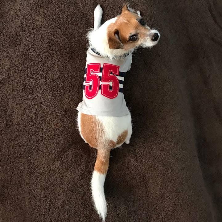 652a5e90 31b8 4c2e b36d 4abb26674081 1540169914188