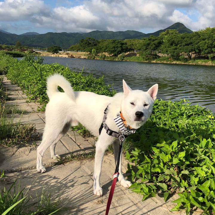 652a84f8 f47f 4bb3 9cc8 9ece062cc0e7 1533683541416