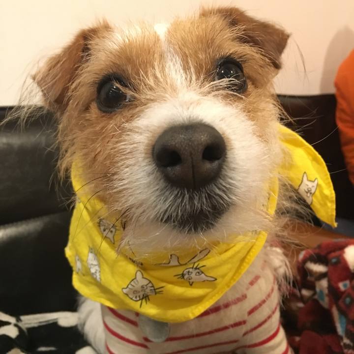 652a8d22 13fd 4d13 b0ea b65f82b4eb7c 1521725767514