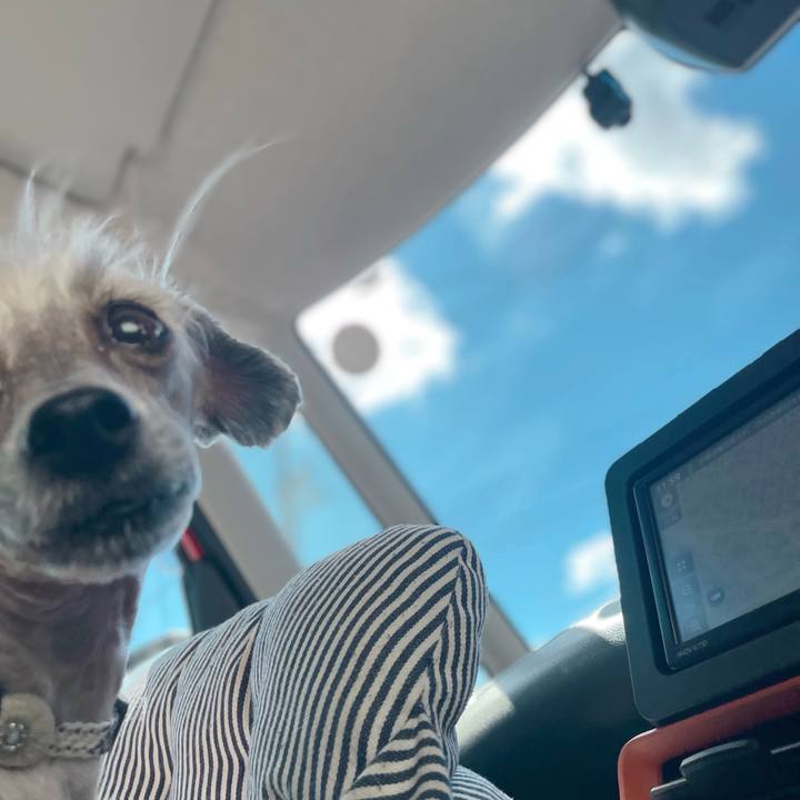 652a9a70 8f9a 4b11 9ba7 76c24a6075cd 1760340761982