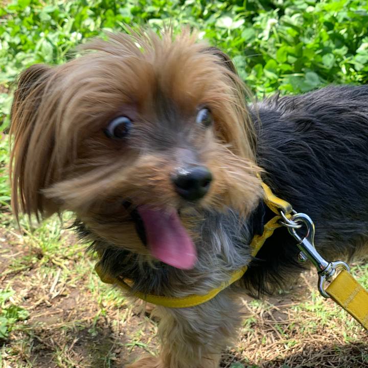 652a9efd 8b01 4a21 bf28 79ad3a572637 1590359491235