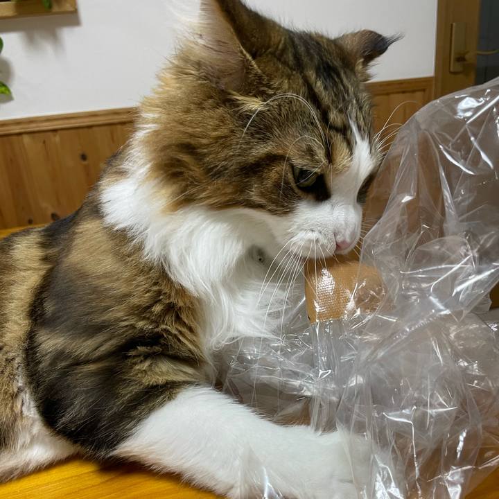 652aa6bd fa7e 43ce b0d8 6367b2e3fb89 1663242720270