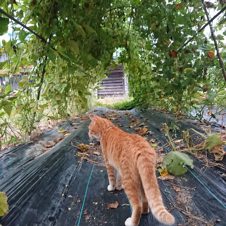 652ac1c3 821d 4fad b14e 1e8154f033cf 1567976202494