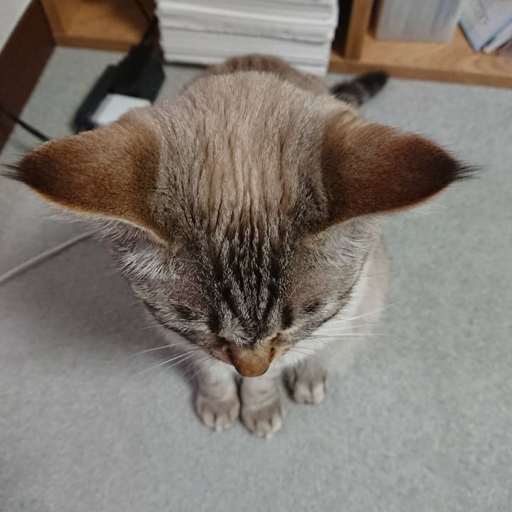 652ac656 1af1 434f 861e 95feb996a965 1523367286898