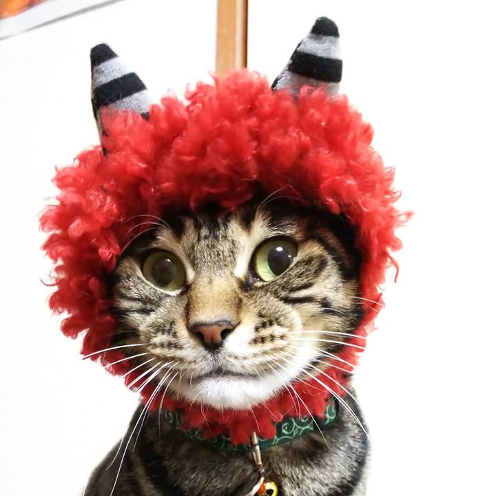 652b03b0 8217 4469 ab85 842f8c0b2e5b 1580651702318