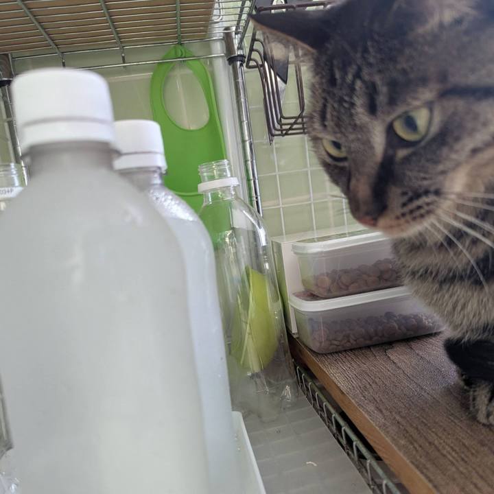 652b1f9a fb30 4449 b7d0 03e71effad6a 1768473636839