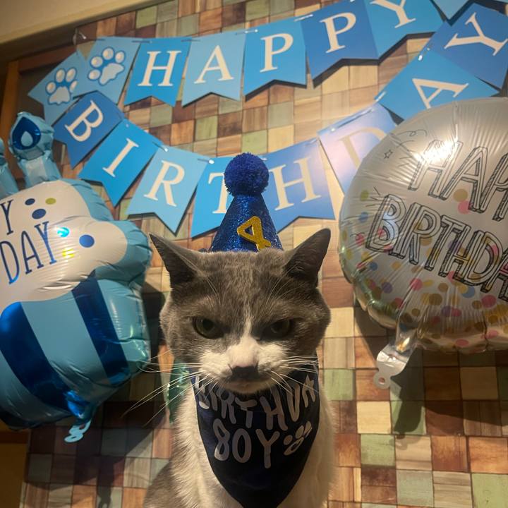 652b22c9 bc00 44e6 b1ff 992e9f0ab207 1703145476717