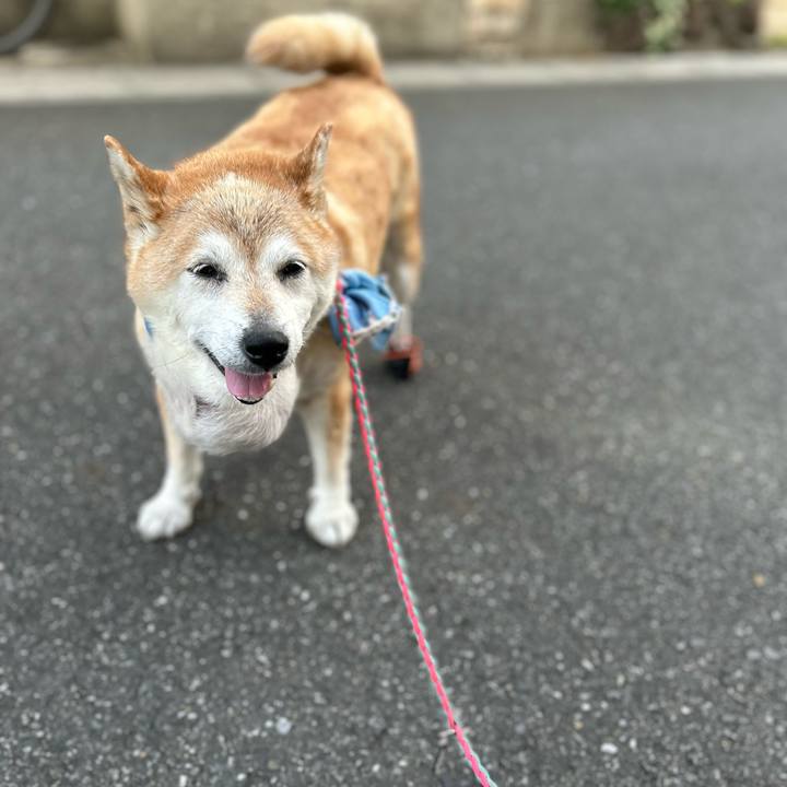 652b2c08 c0a1 46ed 9b2c 4435db39ab67 1754608250020