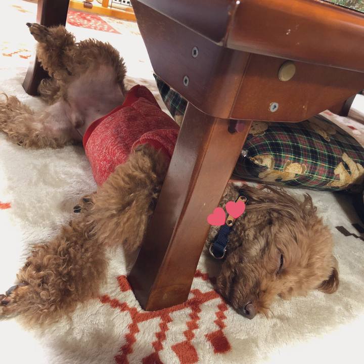 652b4845 9d5b 46b8 96c2 d7b900c290d6 1548670634967