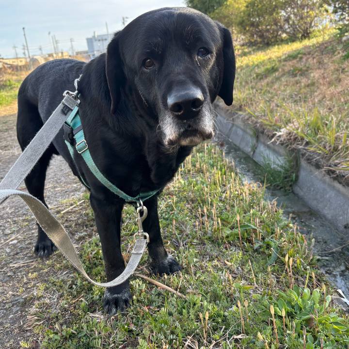 652b56e6 80fd 4cfa acff 3188cb0330ac 1773663523175