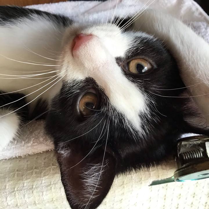 652b8b97 7047 4fea 9ea2 5455d4a4bfd9 1627687852729