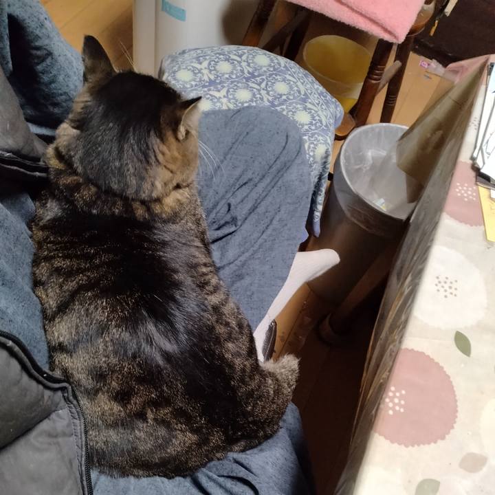 652bdc60 e88b 4764 98ee 2de848d978d0 1702295216453