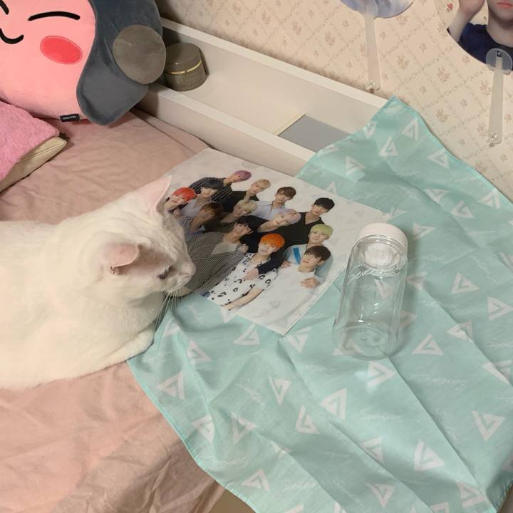 652bf419 5586 404d 85d9 24078744dfa3 1567574418232