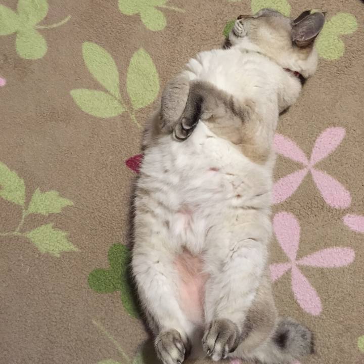 652bfecc 79ac 4a9b 9f70 ffe195612e80 1539865623236