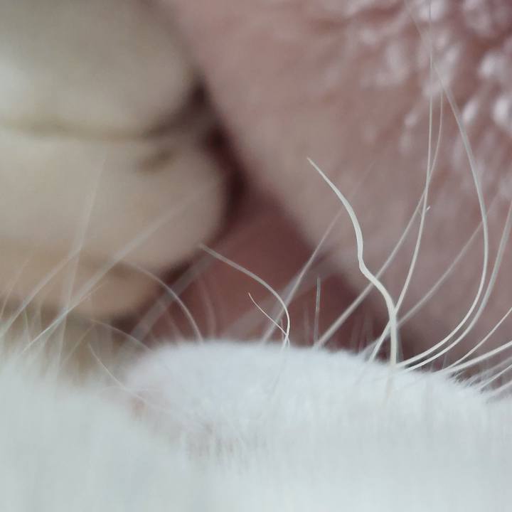 652c058c 7201 4b64 9d23 619f791374b4 1769083678774