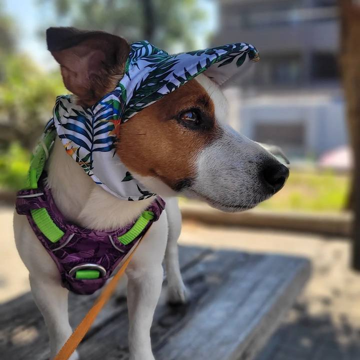 652c1201 9bae 426b 812f 98661fb348f4 1689132682252