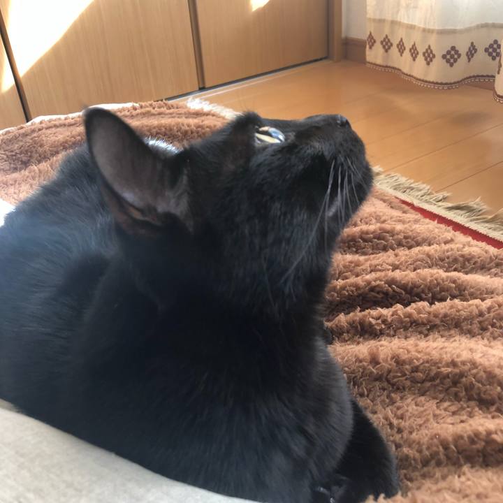 652c24dd 97ba 46e0 94d1 ac9a30b482bd 1550907583914