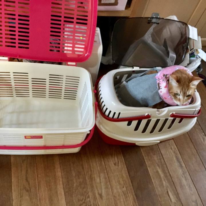 652c2add 10b5 42c2 ac29 661e79970e40 1529830316560