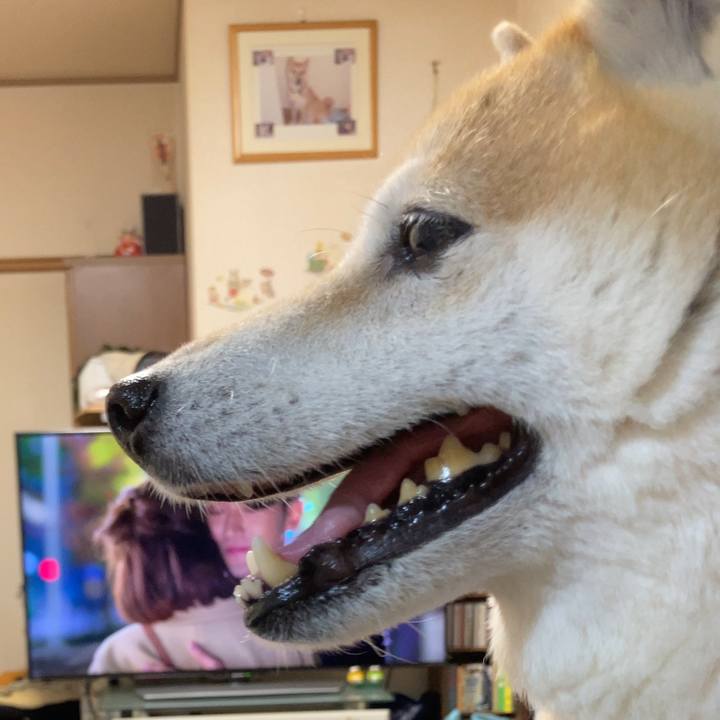 652c2b43 2402 4497 8fb0 802f7c85adb1 1628169181761