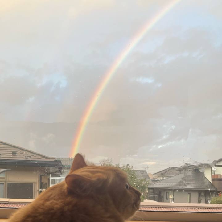 652c4bf9 fe89 4e5a 9b2c d2fa164944c2 1763451187695