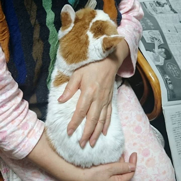 652c6136 1ae8 47c0 ae0e cb9d1af8b3dd 1577683414720