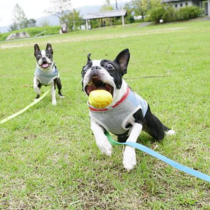 652c8836 3fe6 47b8 9102 fa2fed66b915 1536812611855