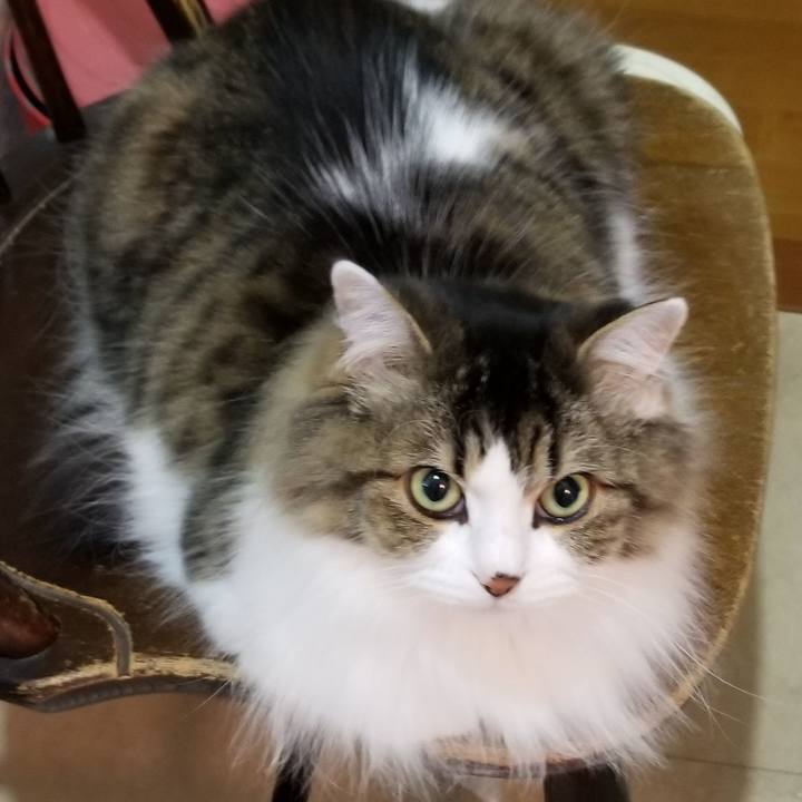 652c8d18 2186 423e 9c8d 5fef90c565f4 1575888200076