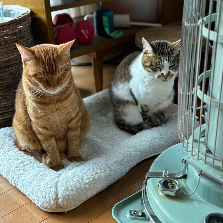 652cd3b7 c612 44fb 8b2f 73ebe8f58a75 1705450242871