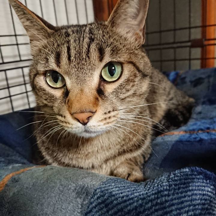 652d0c7e 4af7 4958 92f1 8b032064755e 1601102121249