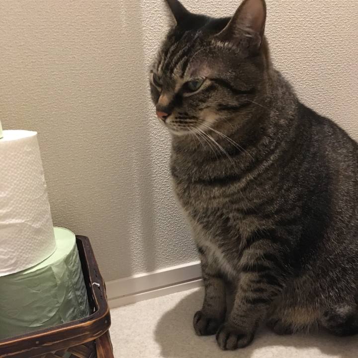 652d63e9 e66a 4973 bfd9 e83b1b2a767c 1587797915528