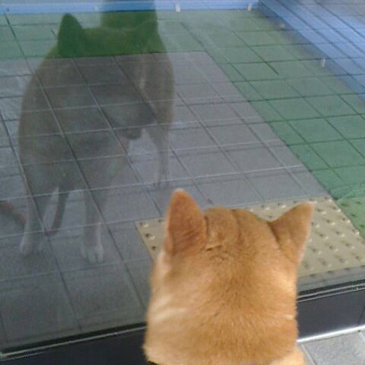 652d829b 1a03 4c5f 9f4b 5253aa7dc755 1560769748421