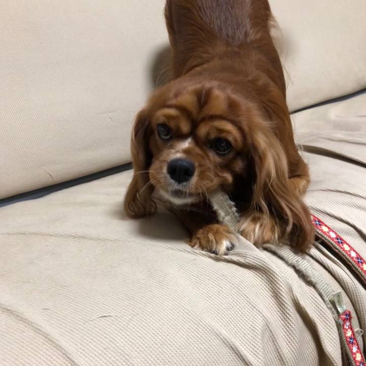 652d95df 4b5c 4dca a8f9 55a3e5f27500 1570109949199