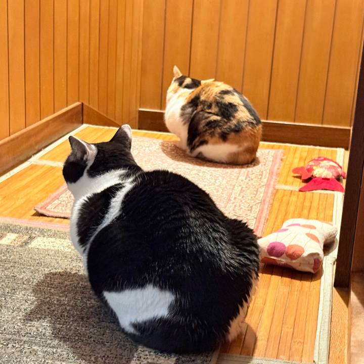 652db9d2 1cda 4f26 8c63 bbb7a7e35f2c 1766539022850