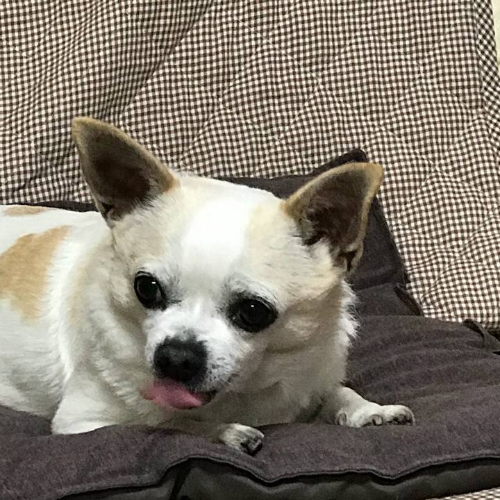 652dc3bd 2a56 41e4 b25f 5bc3be2af131 1513760342078