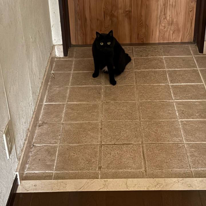 652ddc1b daae 4daf 8589 a4886cf56d64 1755950336182