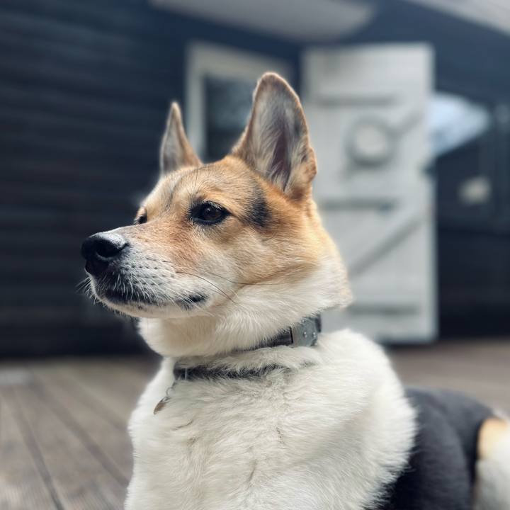 652e00b2 6142 4ce3 b10a d71ded5c4149 1758584005714