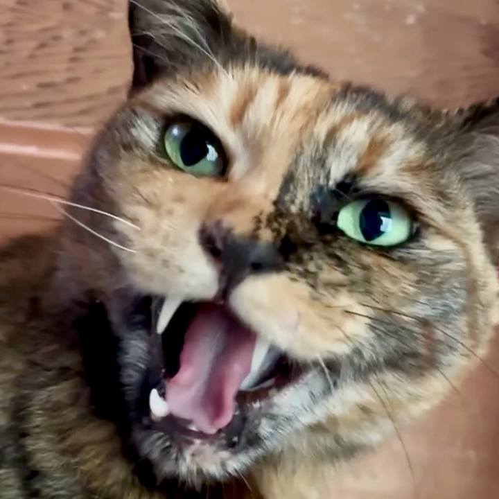 652e24d2 08e5 4bda a9d7 f5437968aa29 1745376778942