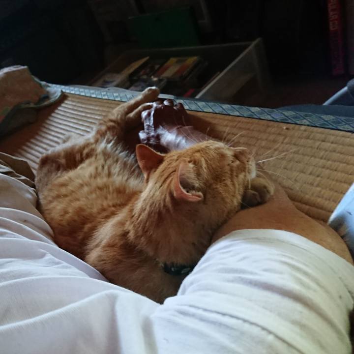 652e2a9b 4a54 46ee 8ef7 0c75dba7d24e 1662443314893