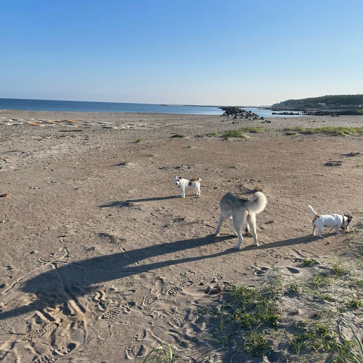 652e5ace 10ae 41d9 a3ad 9ffc1b0afdcc 1727744564314