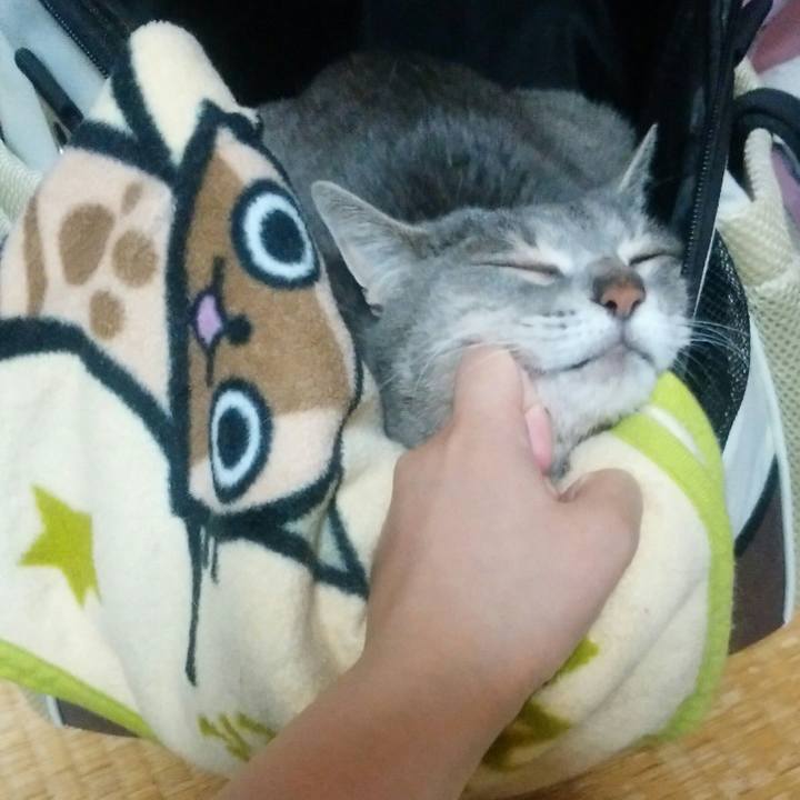 652e70da 0102 4782 bf82 7735ec0de096 1590064053803