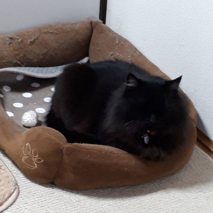 652e75cc e375 4816 9e4d e79b25bbdbf3 1521492642888